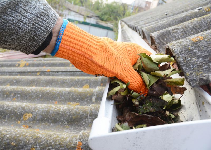 Gutter Cleaning in Richmond, VA