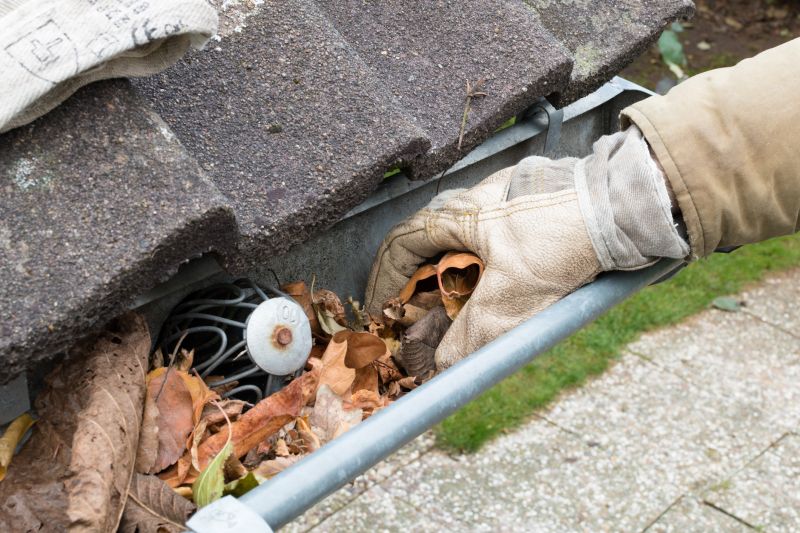 Gutter Leaf Clearing in Fredericksburg, VA