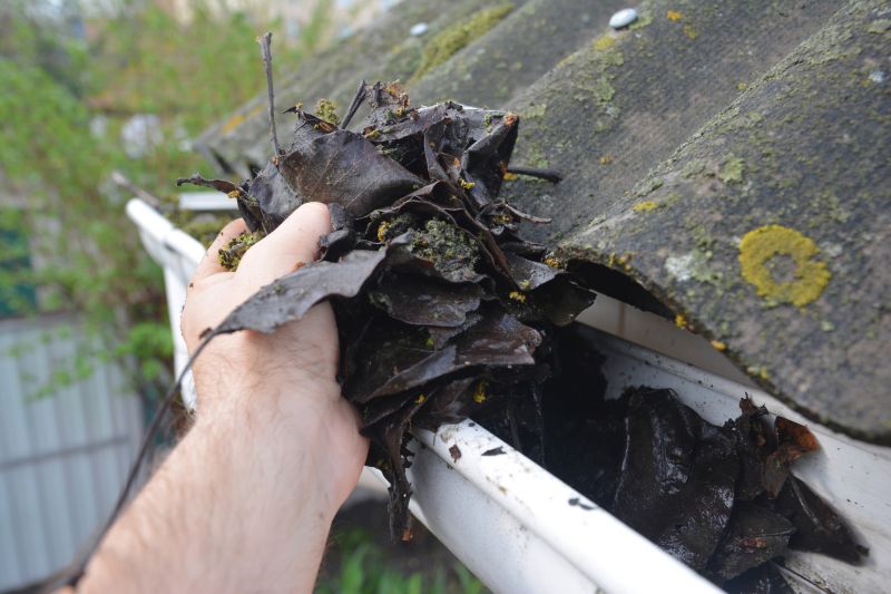 Gutter Maintenance in Longmont, CO