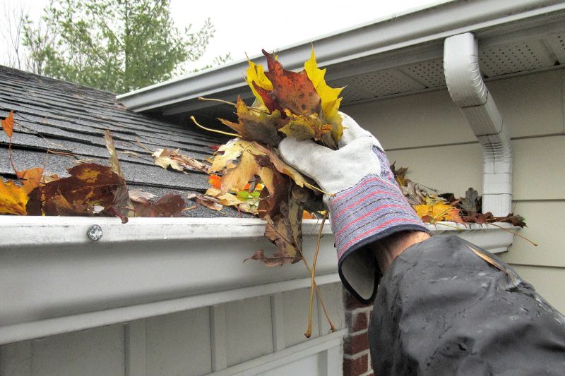 Eavestrough Clearing in Richmond, VA